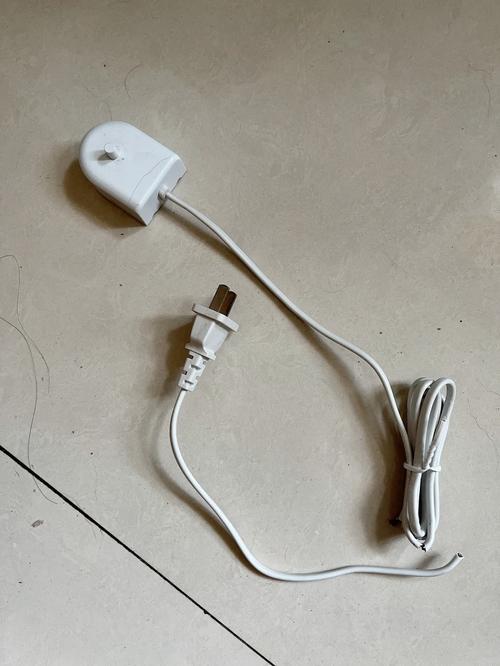 败家