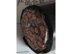 提供商ZR-DJYVPRP、DJGPGPR计算机电缆_供应产品_安徽亨利电缆